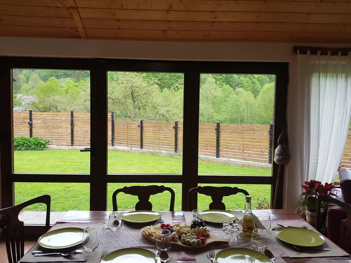 Crivina  Sura Lu' Vasile. B&B 외부 사진