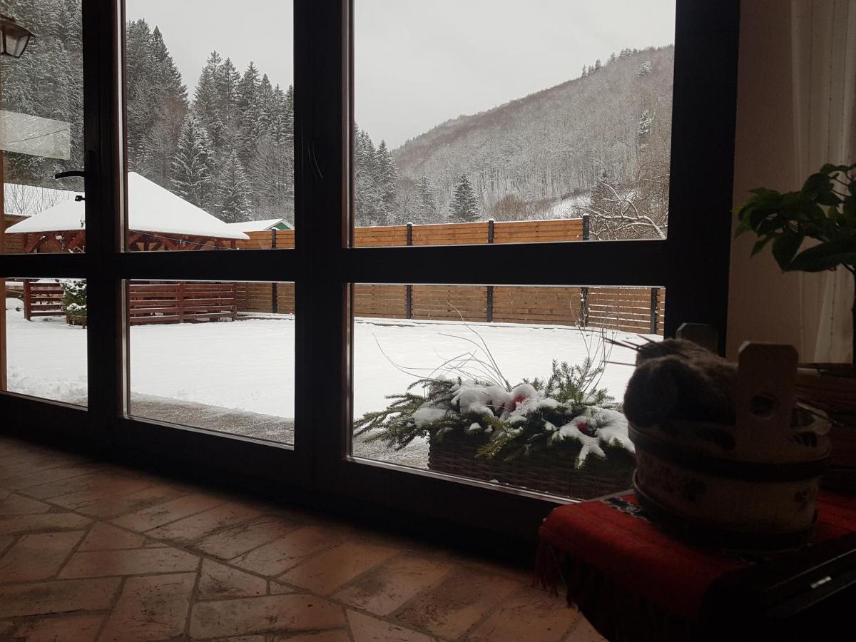 Crivina  Sura Lu' Vasile. B&B 외부 사진