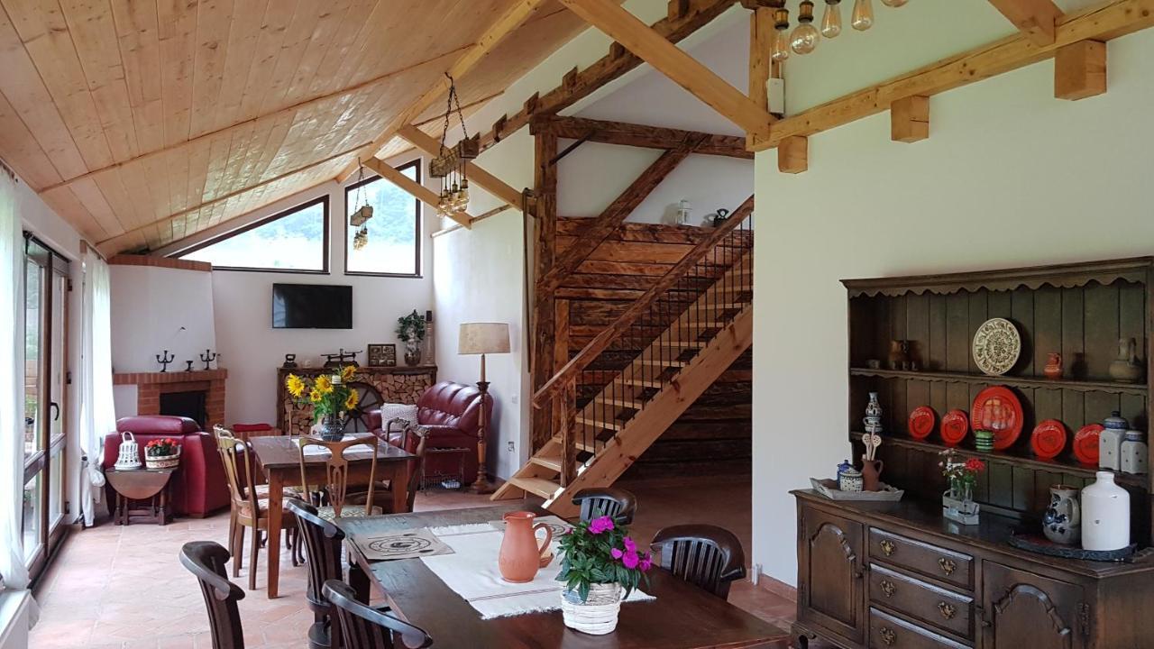 Crivina  Sura Lu' Vasile. B&B 외부 사진