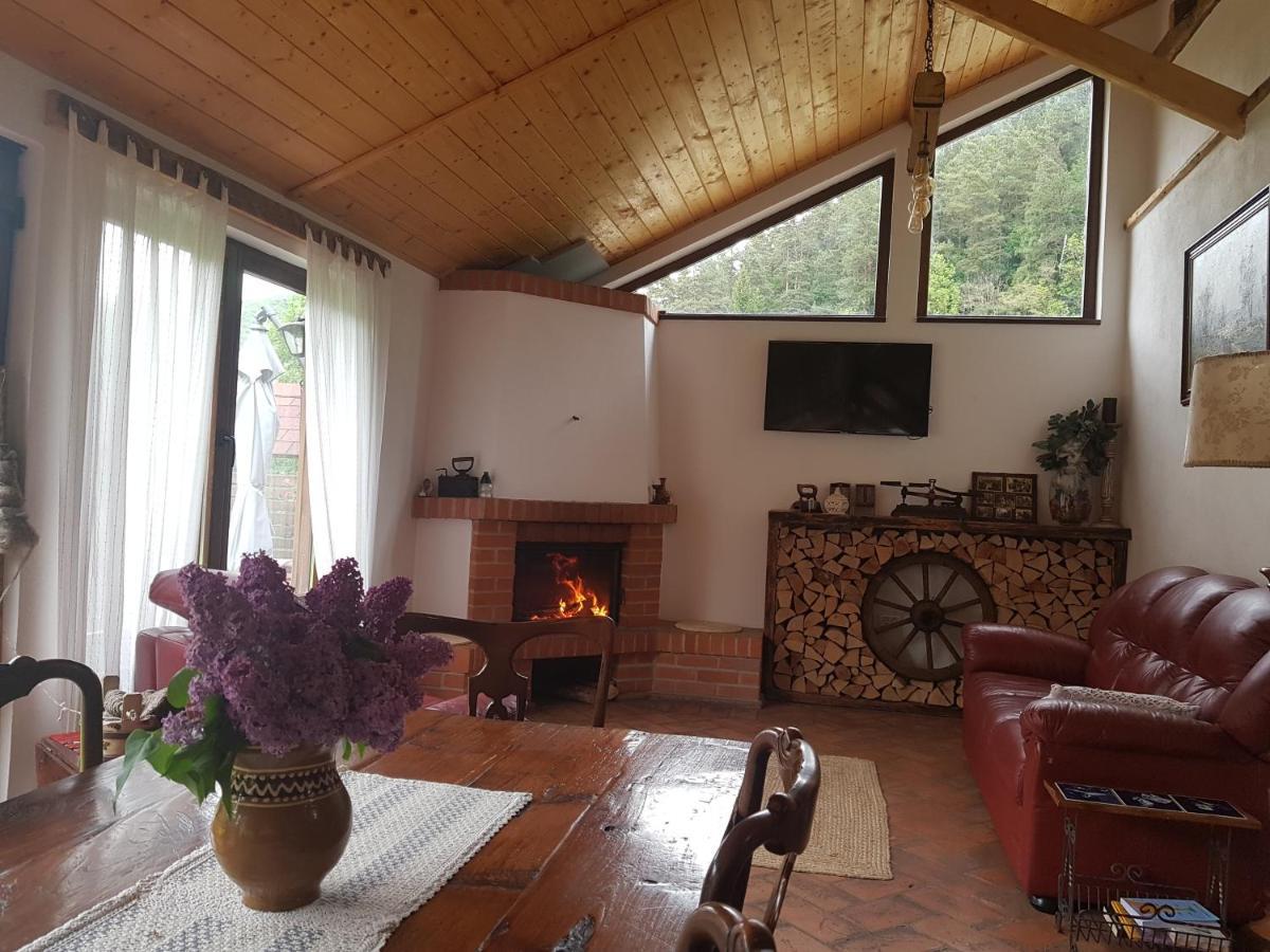 Crivina  Sura Lu' Vasile. B&B 외부 사진