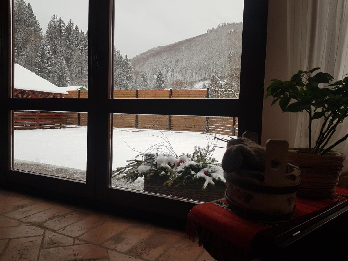 Crivina  Sura Lu' Vasile. B&B 외부 사진