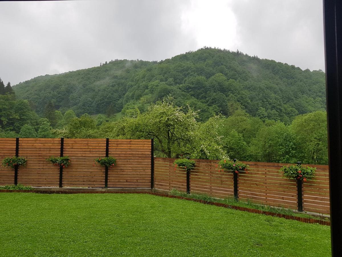 Crivina  Sura Lu' Vasile. B&B 외부 사진